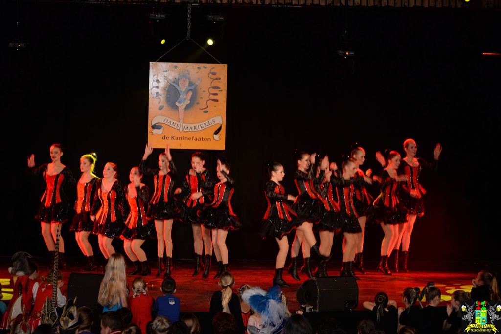 ../Images/Dansmarieke festival 2018 170.jpg